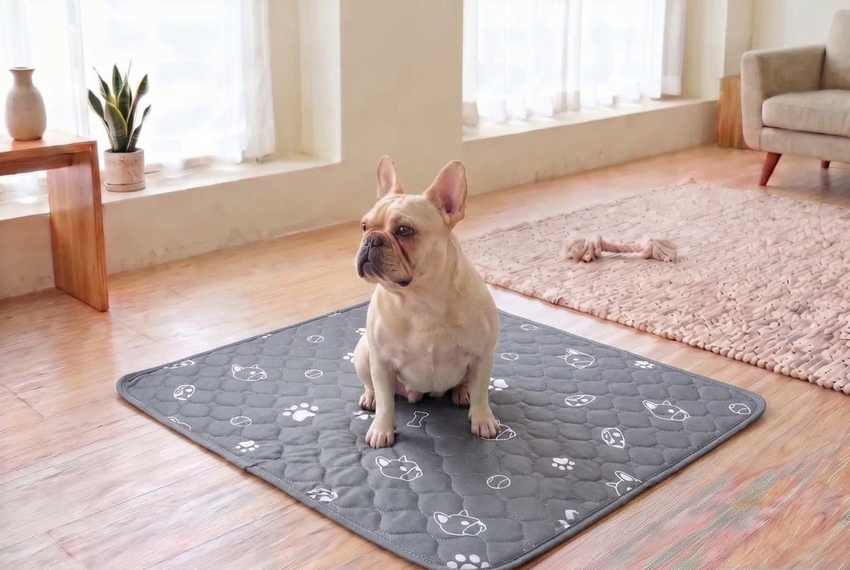 Nestora Pet Pee Pad