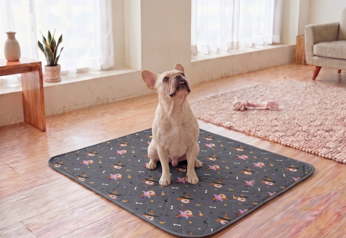Nestora Pet Pee Pad