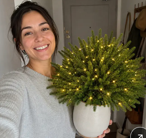 Nestora™ Lighted Pine